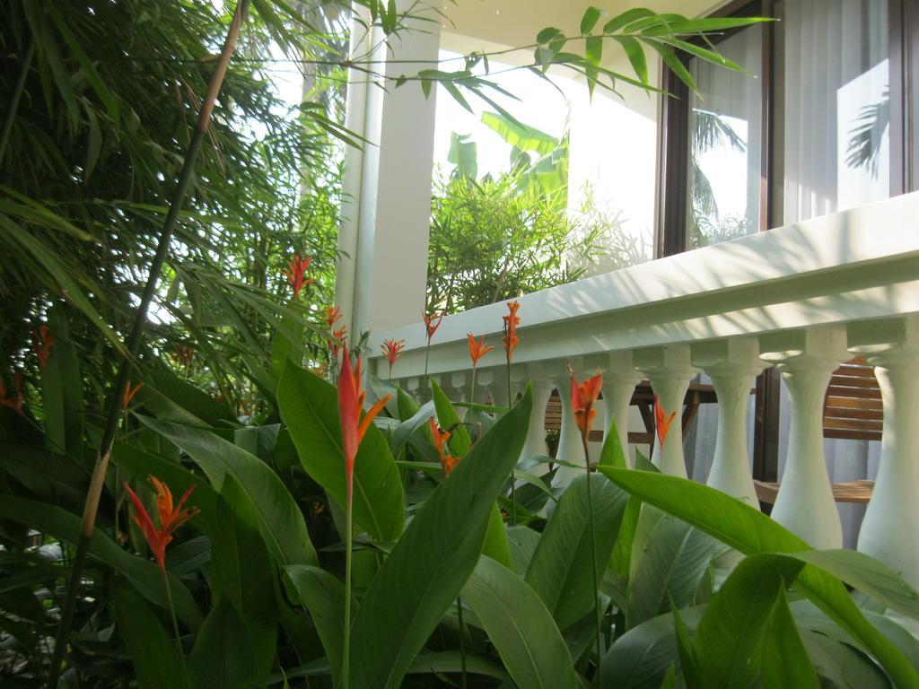 Palm View Villa Hoi An Exterior foto